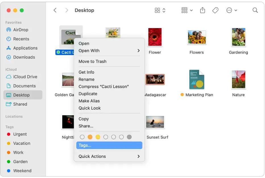 برچسبگذاری فایلها و پوشهها در مک